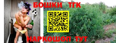 прущие крисы Аргун