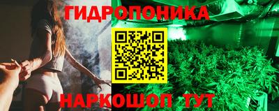 прущие крисы Аргун