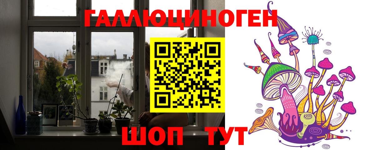 наркотики  Псилоцибиновые грибы Psilocybine cubensis  Вход с VPN  Выборг 