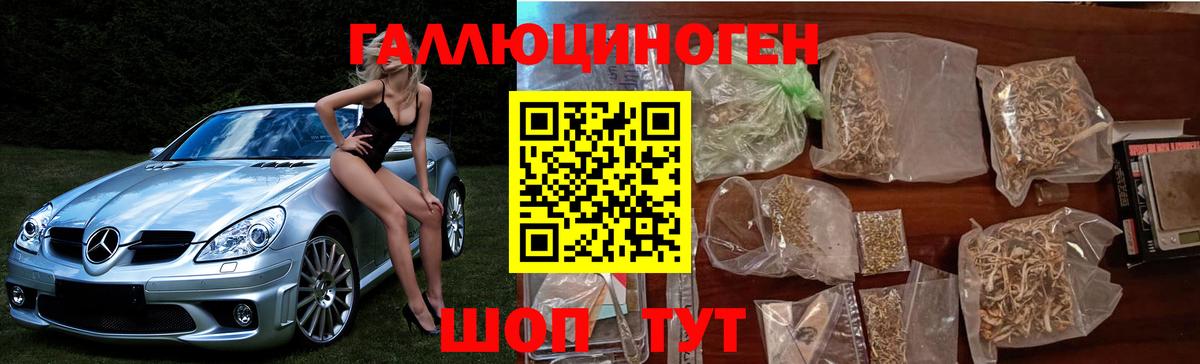 Галлюциногенные грибы Psilocybe Выборг